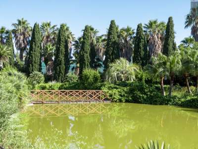 Questo bacino, dal verde intenso, � ricco di sostanze nutritive...